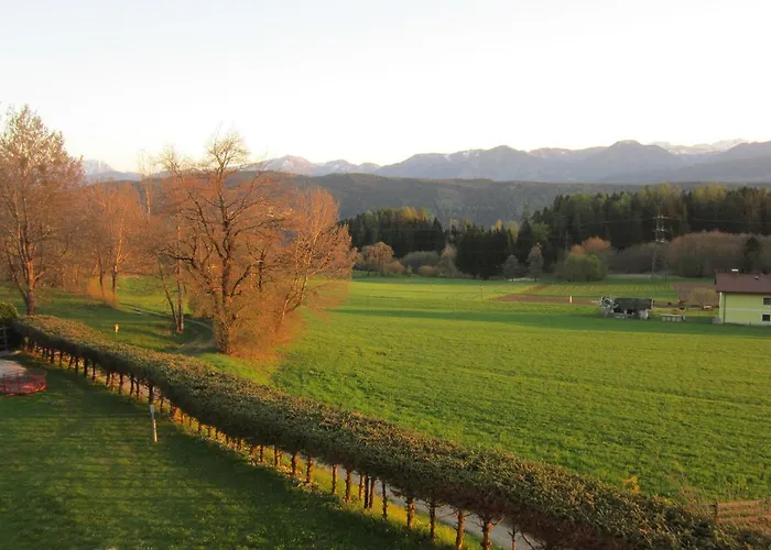 Hotel-cafe-restaurant Matzelsdorfer Hof מילסטאט